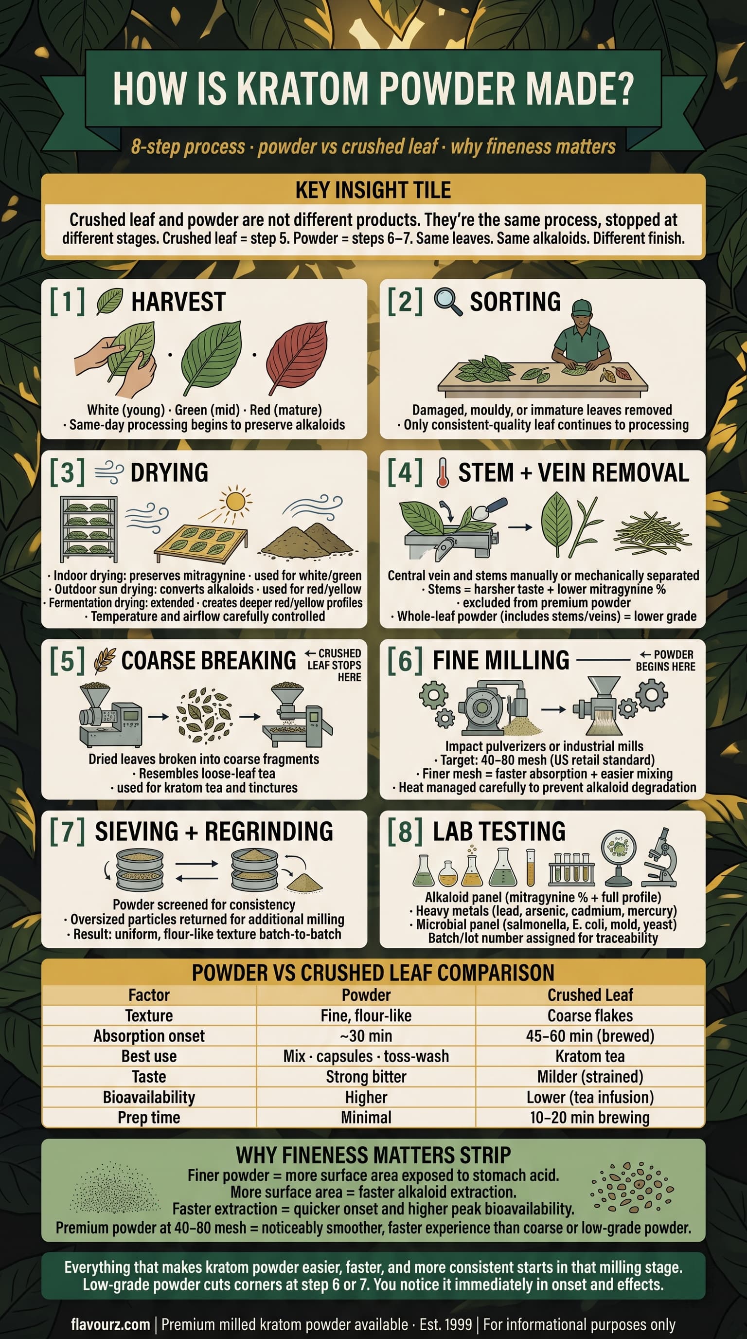infographic for How Is Kratom Powder Made Differently